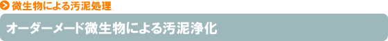 オーダーメード微生物による汚泥浄化