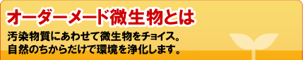 オーダーメード微生物とは