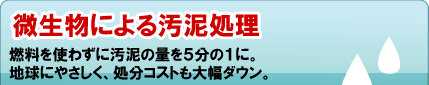 微生物による汚泥分解